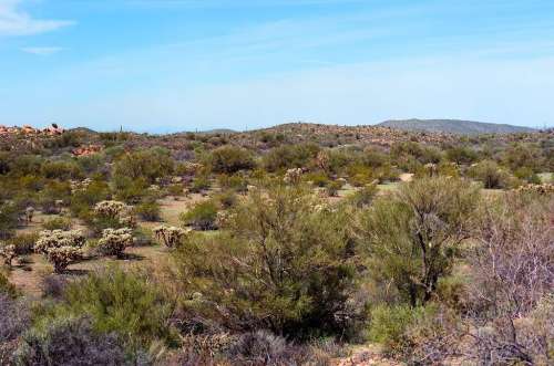 Dewey-Humboldt– “Arizona’s Country Town”